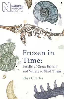 Eingefroren in der Zeit: Fossilien aus Großbritannien und wo sie zu finden sind - Frozen in Time: Fossils of Great Britain and Where to Find Them