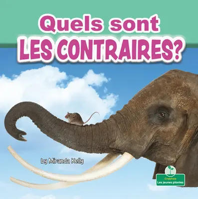 Quels Sont Les Contraires? (Was sind Gegensätze?) - Quels Sont Les Contraires? (What Are Opposites?)