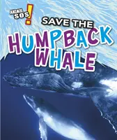 Rettet die Buckelwale - Save the Humpback Whale