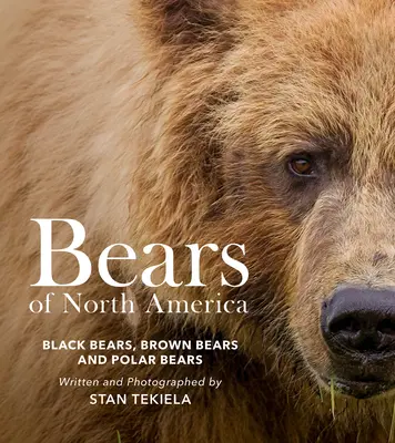 Bären in Nordamerika: Schwarzbären, Braunbären und Eisbären - Bears of North America: Black Bears, Brown Bears, and Polar Bears