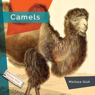 Kamele - Camels