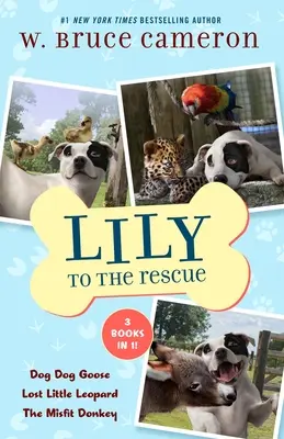 Lily zum Retten zum Aufbinden Bücher 4-6: Hund Hund Gans, Verlorener kleiner Leopard und der missratene Esel - Lily to the Rescue Bind-Up Books 4-6: Dog Dog Goose, Lost Little Leopard, and the Misfit Donkey