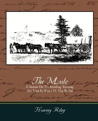 Das Maultier - Eine Abhandlung über Zucht, Ausbildung und Verwendung des Maultiers - The Mule - A Treatise on the Breeding, Training, and Uses to Which He May Be Put