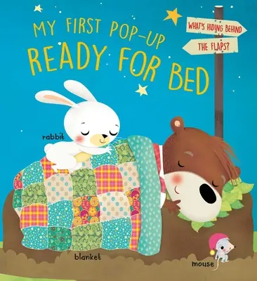 Mein erstes Pop-Up Bereit fürs Bett - My First Pop-Up Ready for Bed