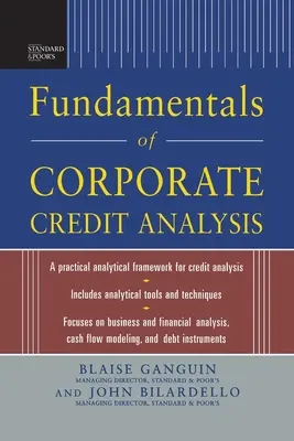 Standard & Poor's Grundlagen der Unternehmenskreditanalyse (Pb) - Standard & Poor's Fundamentals of Corporate Credit Analysis (Pb)