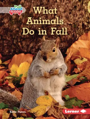 Was Tiere im Herbst tun - What Animals Do in Fall