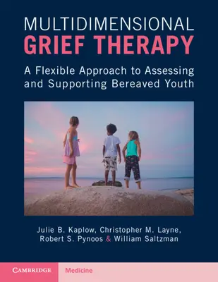 Multidimensionale Trauertherapie - Ein flexibler Ansatz zur Beurteilung und Unterstützung von trauernden Jugendlichen - Multidimensional Grief Therapy - A Flexible Approach to Assessing and Supporting Bereaved Youth
