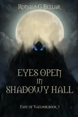 Offene Augen in der Schattenhalle: Das Schicksal von Vaeldor Buch 3 - Eyes Open In Shadowy Hall: Fate of Vaeldor Book 3