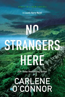 Keine Fremden hier: Ein fesselnder irischer Krimi - No Strangers Here: A Riveting Irish Thriller