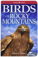 Vögel in den Rocky Mountains - Birds of the Rocky Mountains