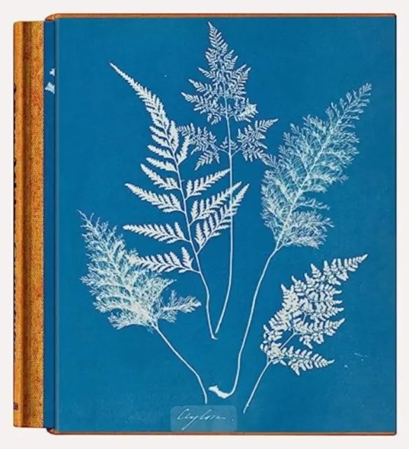 Anna Atkins. Cyanotypien - Anna Atkins. Cyanotypes