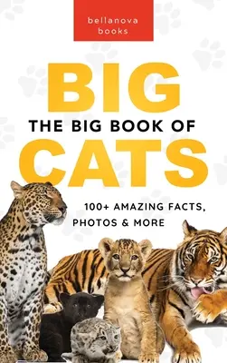 Das große Buch der Großkatzen: 100+ erstaunliche Fakten über Löwen, Tiger, Leoparden, Schneeleoparden und Jaguare - The Big Book of Big Cats: 100+ Amazing Facts About Lions, Tigers, Leopards, Snow Leopards & Jaguars