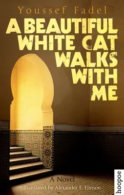 Eine schöne weiße Katze geht mit mir spazieren - A Beautiful White Cat Walks with Me