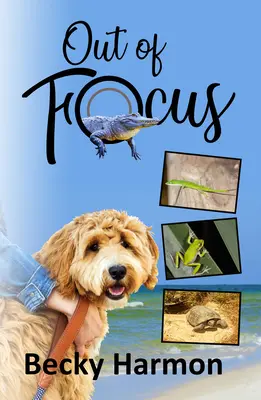 Außerhalb des Fokus - Out of Focus