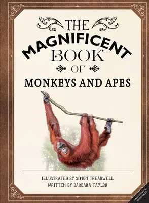 Das prächtige Buch der Affen und Menschenaffen - The Magnificent Book of Monkeys and Apes