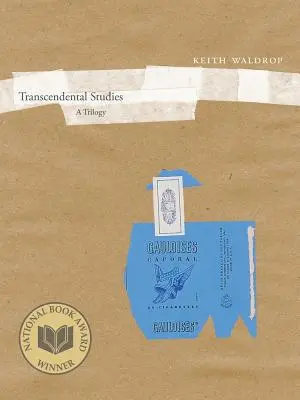 Transzendentale Studien: Eine Trilogie Band 27 - Transcendental Studies: A Trilogy Volume 27