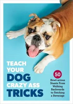 Bringen Sie Ihrem Hund verrückte Tricks bei: 50 heulende Kunststücke vom Rückwärtslaufen bis zum Holen eines Getränks - Teach Your Dog Crazy Tricks: 50 Howl-Arious Stunts from Walking Backwards to Fetching a Beverage