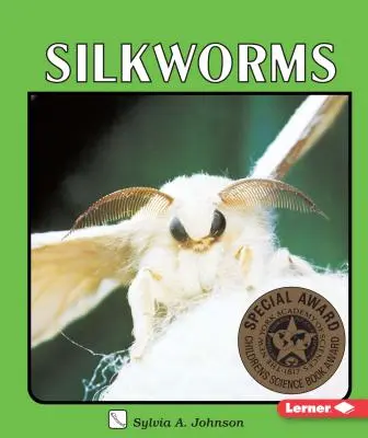 Seidenraupen - Silkworms