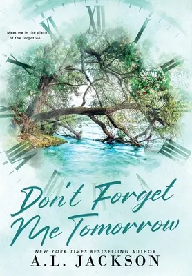 Vergiss mich morgen nicht (Gebundene Ausgabe) - Don't Forget Me Tomorrow (Hardcover)