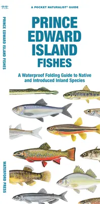 Prinz-Edward-Insel-Fische: Ein wasserfester Faltführer für einheimische und eingeführte Süßwasserarten - Prince Edward Island Fishes: A Waterproof Folding Guide to Native and Introduced Freshwater Species