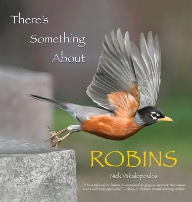 Es gibt etwas über Rotkehlchen - There's Something About Robins