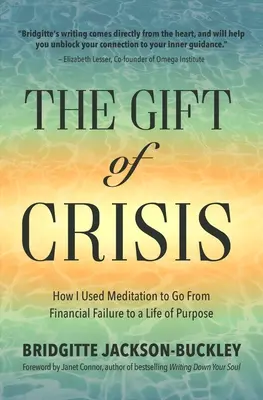 Das Geschenk der Krise: Wie ich mit Hilfe von Meditation vom finanziellen Scheitern zu einem Leben voller Ziele gelangte - The Gift of Crisis: How I Used Meditation to Go from Financial Failure to a Life of Purpose