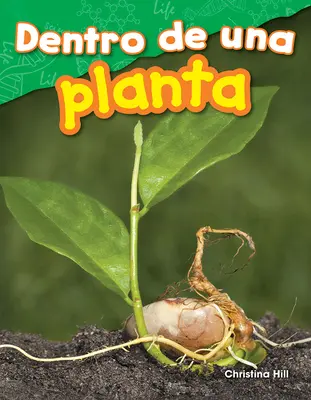 Im Inneren einer Pflanze - Dentro de Una Planta