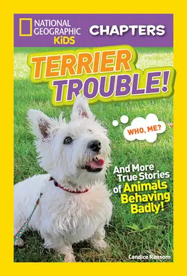 Terrier Trouble!: Und weitere wahre Geschichten von Tieren, die sich schlecht benehmen - Terrier Trouble!: And More True Stories of Animals Behaving Badly