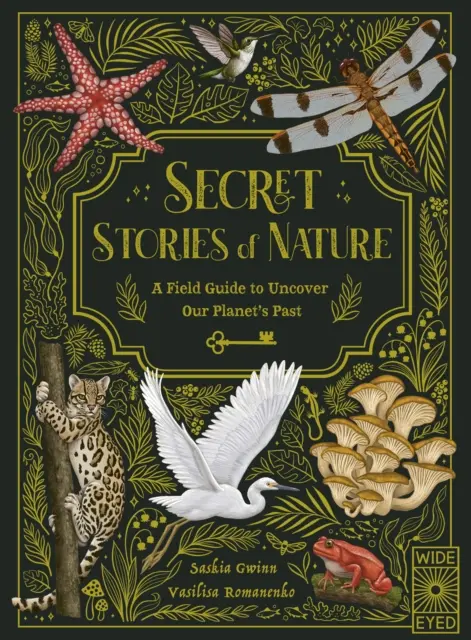 Geheime Geschichten der Natur - Ein Feldführer zur Entdeckung der Vergangenheit unseres Planeten - Secret Stories of Nature - A Field Guide to Uncover Our Planet's Past