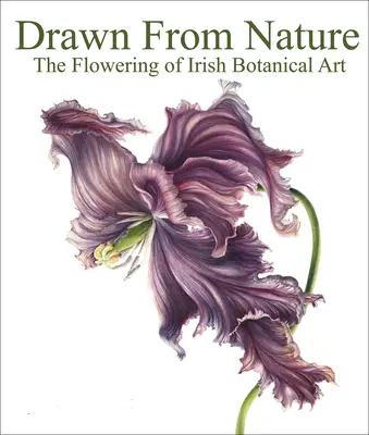 Aus der Natur gezeichnet: Die Blütezeit der irischen botanischen Kunst - Drawn from Nature: The Flowering of Irish Botanical Art