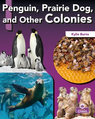 Pinguin, Präriehund und andere Kolonien - Penguin, Prairie Dog, and Other Colonies