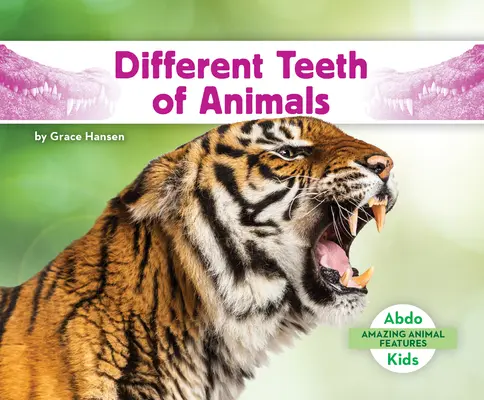 Unterschiedliche Zähne der Tiere - Different Teeth of Animals