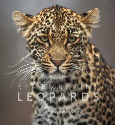 Erinnern an Leoparden - Remembering Leopards