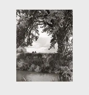 Robert Adams: Baumwollsträucher - Robert Adams: Cottonwoods