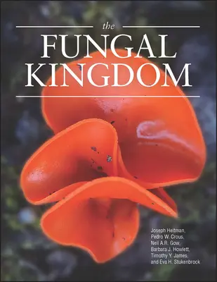Das Pilzkönigreich - The Fungal Kingdom