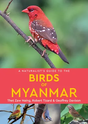 Ein Naturführer für die Vögel von Myanmar - A Naturalist's Guide to the Birds of Myanmar