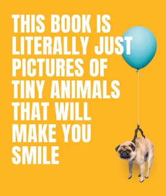 Dieses Buch besteht buchstäblich nur aus Bildern von winzigen Tieren, die Sie zum Lächeln bringen werden - This Book Is Literally Just Pictures of Tiny Animals That Will Make You Smile