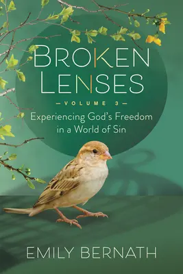 Zerbrochene Linsen Band 3: Gottes Freiheit in einer Welt der Sünde erfahren - Broken Lenses Volume 3: Experiencing God's Freedom in a World of Sin