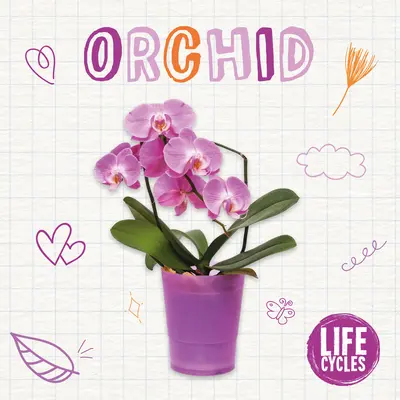 Orchidee - Orchid