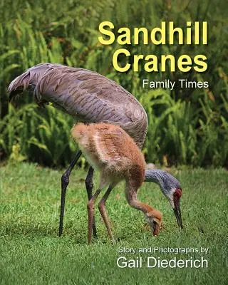 Sandhügelkraniche, Familienzeiten - Sandhill Cranes, Family Times