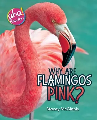 Warum sind Flamingos rosa? - Why Are Flamingos Pink?