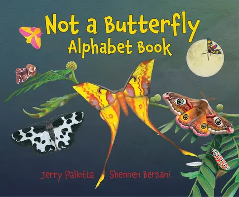 Kein Schmetterlingsalphabetbuch: Es ist an der Zeit, dass Motten ihr eigenes Buch haben! - Not a Butterfly Alphabet Book: It's about Time Moths Had Their Own Book!