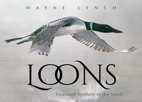 Seetaucher: Geschätzte Symbole des Nordens - Loons: Treasured Symbols of the North