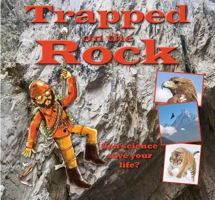 Gefangen auf dem Felsen - Trapped on the Rock