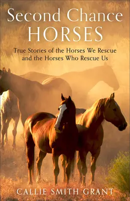 Zweite Chance für Pferde: Wahre Geschichten von Pferden, die wir retten, und von Pferden, die uns retten - Second-Chance Horses: True Stories of the Horses We Rescue and the Horses Who Rescue Us