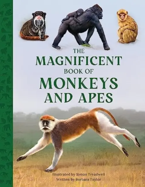 Prächtiges Buch der Affen und Menschenaffen - Magnificent Book of Monkeys and Apes