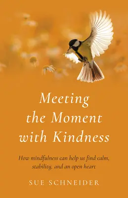 Dem Augenblick mit Freundlichkeit begegnen: Wie Achtsamkeit uns helfen kann, Ruhe, Stabilität und ein offenes Herz zu finden - Meeting the Moment with Kindness: How Mindfulness Can Help Us Find Calm, Stability, and an Open Heart