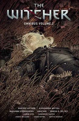 The Witcher Omnibus Band 2 - The Witcher Omnibus Volume 2