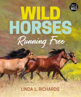Wilde Pferde: Frei laufen - Wild Horses: Running Free
