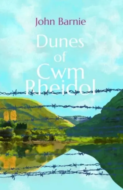 Die Dünen von Cwm Rheidol - Dunes of Cwm Rheidol